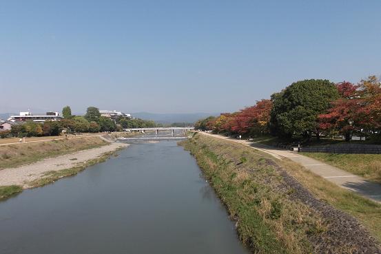 京都加茂川