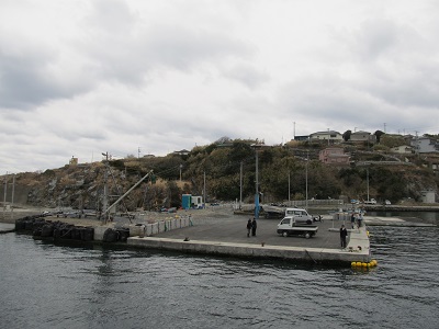 今日の江島港