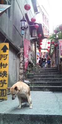 台北で足つぼ足もみ修行中の風景②