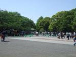 上野動物園前の混在具合（2013年4月28日12時50分頃）