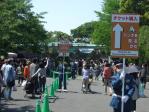 上野動物園4月28日12時50分頃は80分待ちでした。パンダ観覧は5時45分まで。