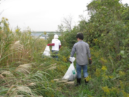 2013年11月2日（土）干潟清掃で「渡り鳥サポーターになろう！」⑯