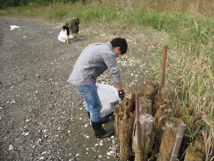2013年11月2日（土）干潟清掃で「渡り鳥サポーターになろう！」⑧