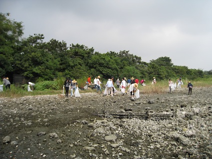 2014年9月6日（土）干潟清掃で「渡り鳥サポーターになろう！」第一生命から33名参加⑦