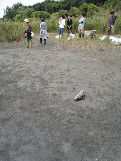 2014年10月4日（土）干潟清掃で「渡り鳥サポーターになろう！」17