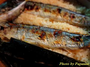 mixed rice with saury