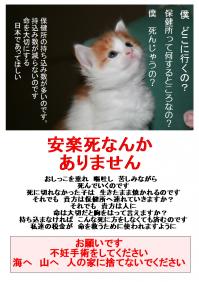 ☆捨て猫防止ポスター