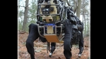 Robotic-mule-dog-DARPA_.jpg