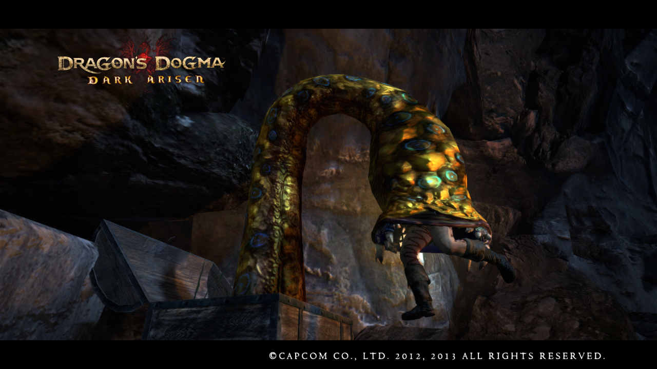 Dragons Dogma_ Dark Arisen Screen Shot _18