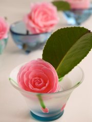 Camellia in glass-3