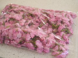 Sakura-salted