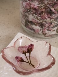 Pickled Sakura