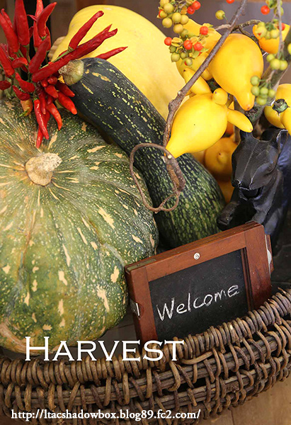 harvest_20141021232231ba5.jpg