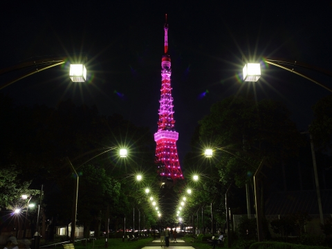 東京タワー　乳がん早期発見啓発キャンペーン　ピンクライトアップ