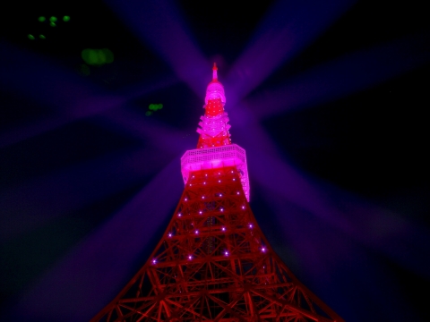東京タワー　乳がん早期発見啓発キャンペーン　ピンクライトアップ2014