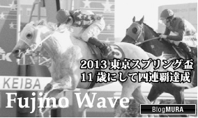 fujino-wave2.jpg