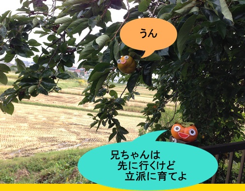 変換柿蔵21セリフ