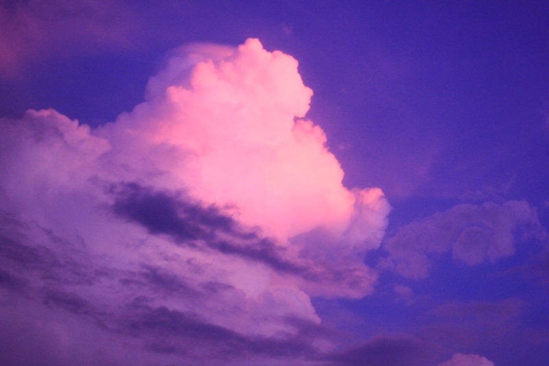 ピンクな雲っ